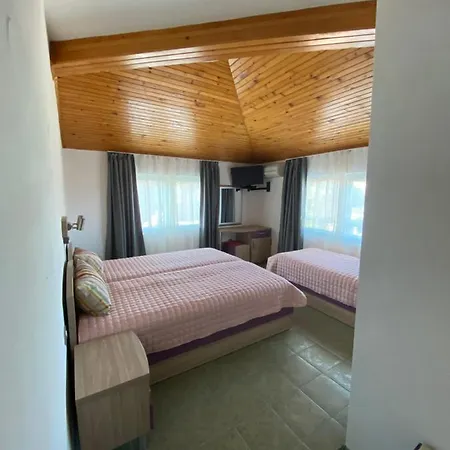 Hotel Villi